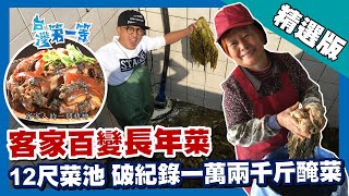 台灣第一等【客家精神百變長年菜 破紀錄1萬2000斤醃菜】苗栗 _精選版