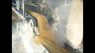 100 Ton per day Paddy/Rice Parboiling Plant