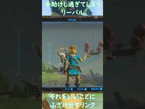 過保護なリーバル【ゼルダの伝説 ブレスオブザワイルド】