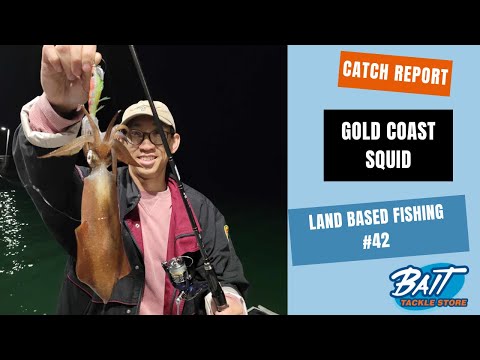 Land Based Fishing #42 - Gold Coast Squid