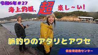 20241206  第27回釣行　脈釣りのアタリとアワセの解説! 初心者も満足　海上釣堀、超楽し～い！　仮屋湾遊漁センター