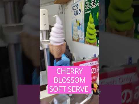 Sakura Ice Cream #UenoPark #CherryBlossomSoftServe #tokyo