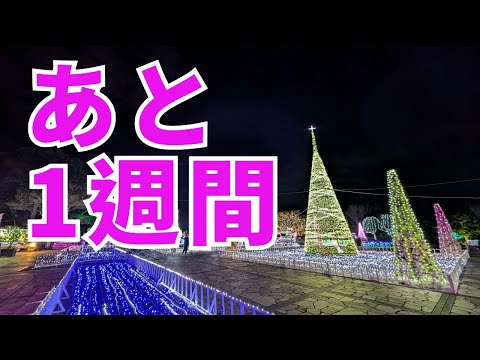 クリスマスイブまであと1週間（vol.3767）