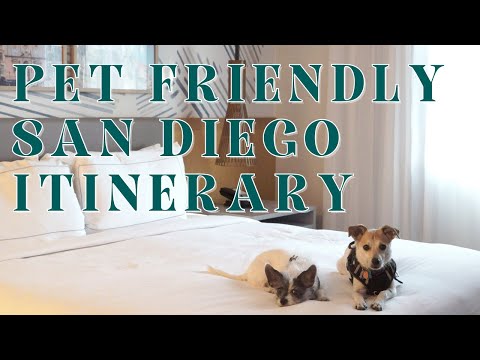 [Travel Vlog] San Diego Trip with Dogs | Pet Friendly Travel |