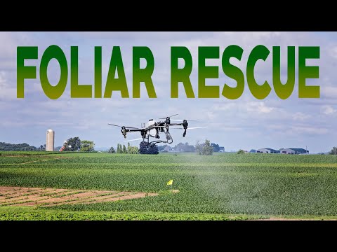 Spraying the Local Corn Maze | Vesperman Farms Corn Maze | DJI T50 From Agrispray