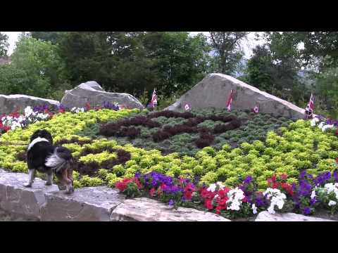 Fenelon Falls - Basil visits The Queen's Children's Garden