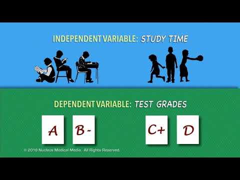 Independent Variable vs  Dependent Variable