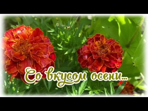 Со Вкусом Осени.Скоро Осень...