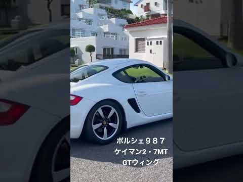 綺麗な景色のオープニング動画