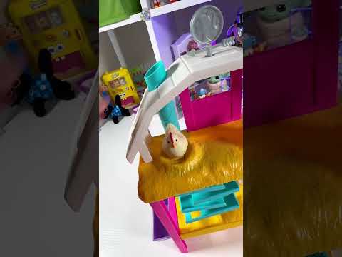 Barbie Hatch & Gather Egg Farm #barbie #asmr #farm