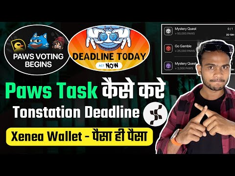 Paws Task Live Process ~ क्या हैं Solution || TonStation Ending || Seed Listing Confirm Updates