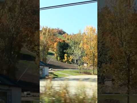 Beautiful Nature #nature #fallcolours #shortvideo #amazing #ontario #canada #travel