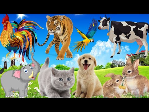 Lovely animal sounds: Cat, Chicken, Dog, Horse, Bear, Cow, Rabbit,... | Animal moments