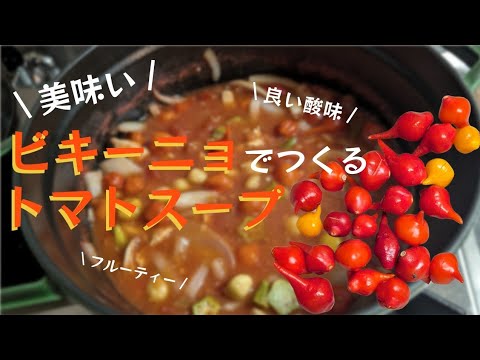 唐辛子の一種「ビキーニョ」でつくるトマトスープ🌶️