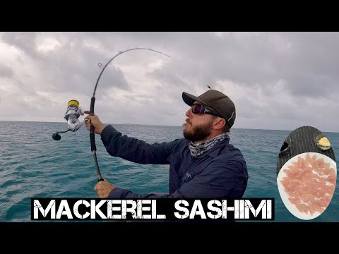 Fishing Adventure in the Torres Straits - Part 1 - Mackerel Sashimi and a strong wind warning ⚠️