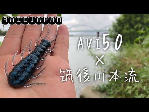 【バス釣り】筑後川で前回釣れたテトラにAVI50を落とすと、、、