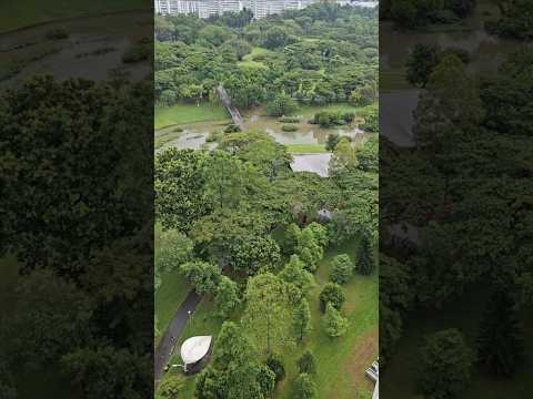 大雨过后的碧山公园 Bishan Park after heavy rain