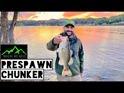 Prespawn CHUNKER - Castaic Lake Lagoon Fishing