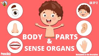 Parts of the Body | Sense Organs | Pre Primary basics in 90days | Pencildz