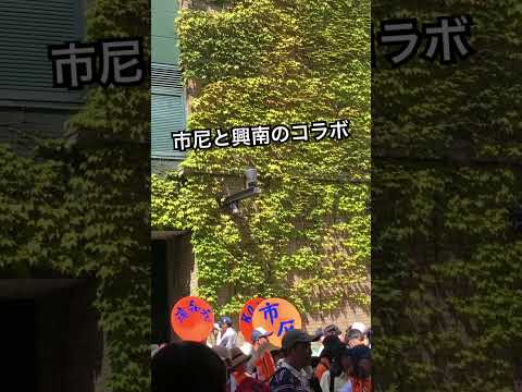 市立尼崎高校の楽器に興南の文字【友情応援】高校野球 甲子園 興南高校×市立尼崎高校 吹奏楽部 ブラスバンド #甲子園 #プロ野球