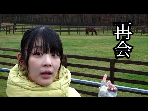 潜入！社台スタリオンステーション　種牡馬見学会！【完結編】