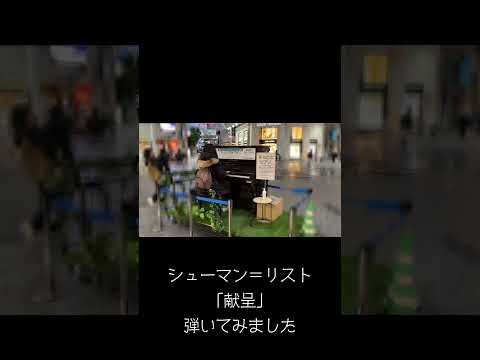 【ストピ】香川にストピがあったので弾いてみました/ ピアノ連弾【ごぼう】