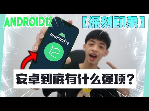 Android 12 深刻印象 ！ Android 的强项 ？？| Jonas LCX 李承宪