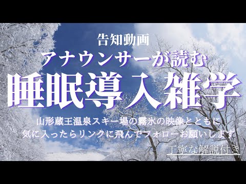 【睡眠導入雑学】【アナウンサーが読む】【山形蔵王】【美しい霧氷】の映像とともに新チャンネルの告知