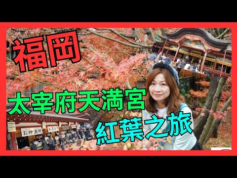 [福岡 太宰府天満宮 賞紅葉一日遊] 賞楓葉|  求考試合格的神社 | 暫時見過是神社中最大的繪馬掛位| 必去 打卡 太宰府Starbucks| 參道 買福袋| 福岡自由行| 太宰府市一日遊