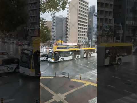 長くない？福岡で見たバス🚌