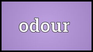 Odour Meaning