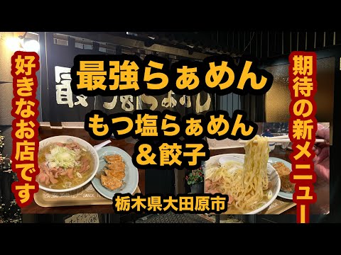 【栃木グルメ】最強らぁめん（大田原市）新メニューのもつ塩らぁめん＆餃子を食べてみた