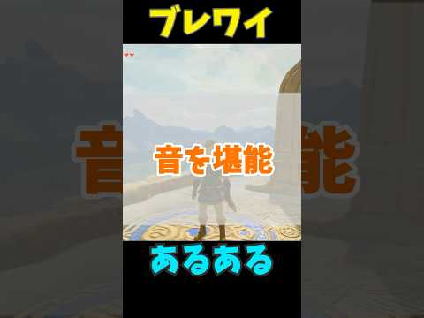 ブレワイあるある 音編 #ゼルダの伝説 #zelda #ゼルダの伝説ブレスオブワイルド #ゼルダの伝説ティアーズオブザキングダム