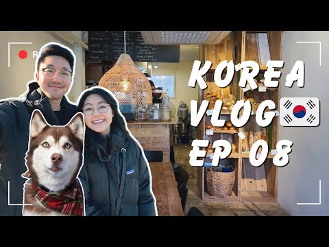 SEOUL TRAVEL VLOG | FIRST DAY in HONGDAE. Is Korea Dog Friendly? (Ep 08)