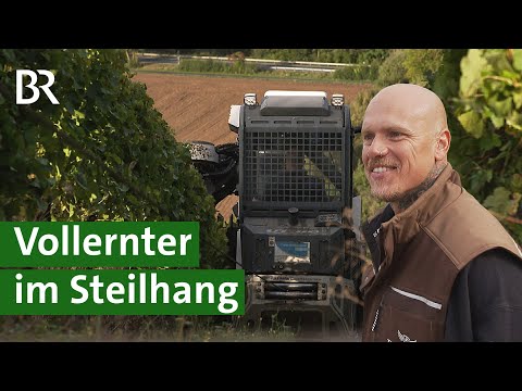 Erntemaschine im Weinberg: Moderne Technik erntet Trauben im Steilhang | Unser Land | BR