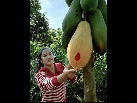 Yummy papaya cooking 😋🥰