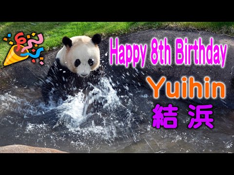 【8歳誕生日によせて】トンガリ元祖結浜 数々の思い出とともに Happy Birthday Yuihin