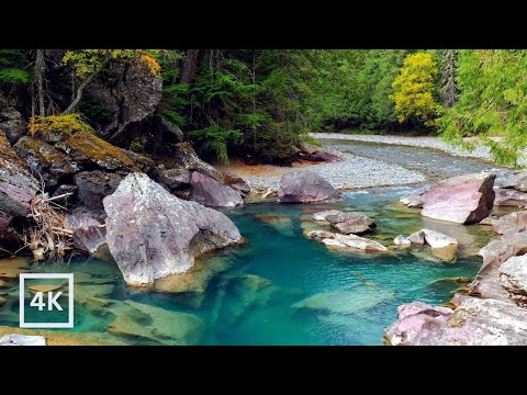 4K Blue Pools | Glacier National Park | Forest River Nature Sounds for Sleep & Study | White Noise