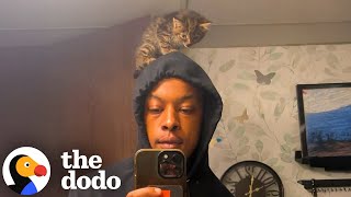 Guy Rescues A Tiny Kitten And Puts Her In His Rap Videos | The Dodo