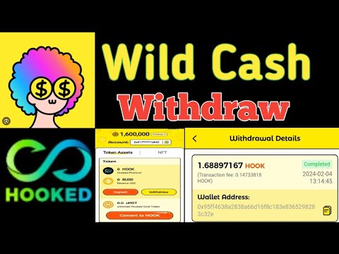 Wild Cash App Withdraw | Wild Cash Se withdrew Kaisy kary |Wild Cash Withdraw complete process Proof