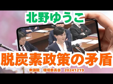 参政党【北野ゆうこ】衆議院環境委員会20241219【脱炭素政策の矛盾】