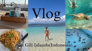 [Vlog]インドネシア🇮🇩ギリ島でバカンス🏝️海/観光/シュノーケリング