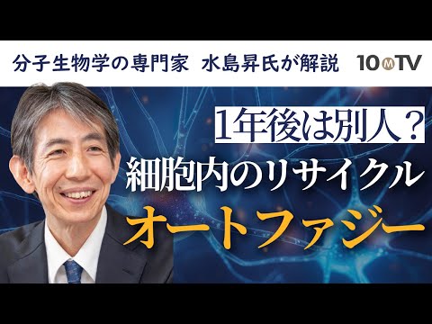 ノーベル賞受賞「オートファジー」とは？その仕組みに迫る｜水島昇