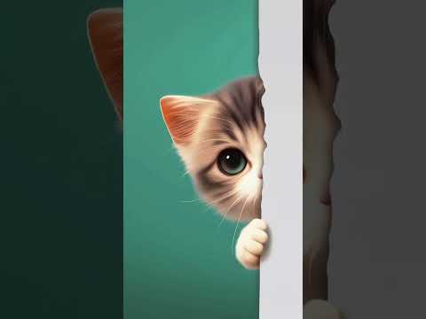 cate #ai #aishorts #kidsvideo #animals #cartoon #kidssongs