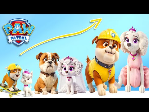 Paw Patrol Life After Happy End New Part Full | Cartoon Wow