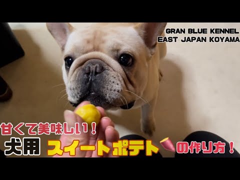 【犬用スイートポテト】【犬用おやつ】#514 ほんのり甘くて美味しい！犬用スイートポテトの作り方！#ブリーダー #フレンチブルドッグ #ブルドッグ#埼玉県