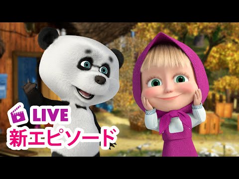 🔴 LIVE 👱‍♀️🐻 マーシャとくま ⭐️ 新エピソード ⭐️ だれのいうことをきく？ 🐧🐼 子供向けアニメ