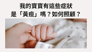 我的寶寶有這些症狀，是「黃疸」嗎？如何照顧？｜新生兒照護