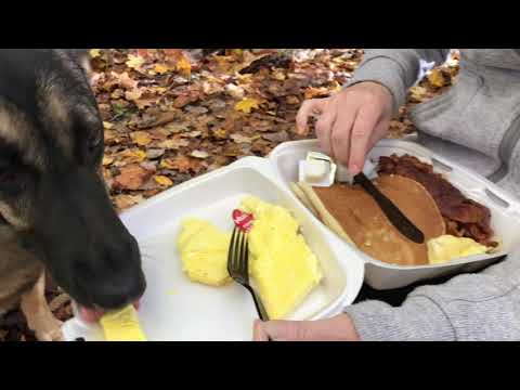 Part1 Breakfast then Hiking with our German Shepherd Hiking video series: cave and waterfall