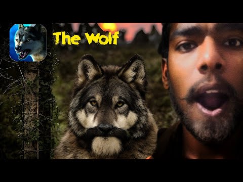 Playing the wolf game and wolf in the dangerous forest | AL0K